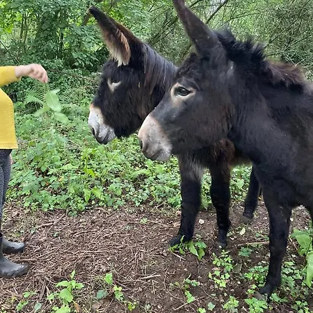 Prázdninový dům Les Anes Du Chateau D Hardelot, Pour 2 A 5 Pers *