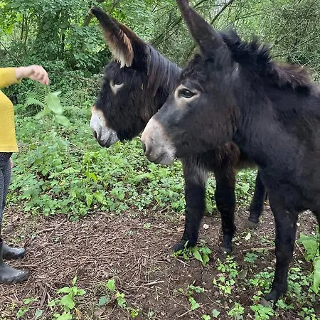 Casa vacanze Les ânes Du Château D Hardelot, Pour 2 à 5 Pers *