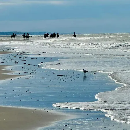 Les ânes Du Château D Hardelot, Pour 2 à 5 Pers *