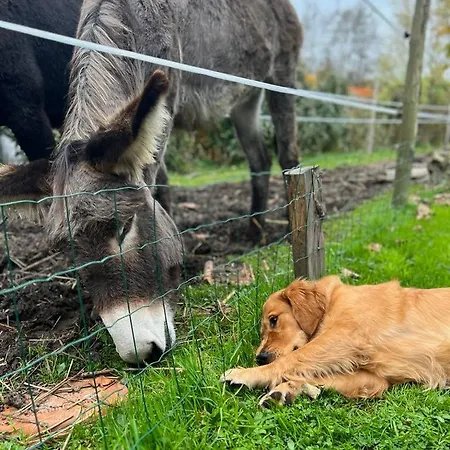 Prázdninový dům Les Anes Du Chateau D Hardelot, Pour 2 A 5 Pers