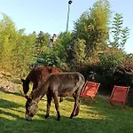 Les Anes Du Chateau D Hardelot, Pour 2 A 5 Pers * كونْديت
