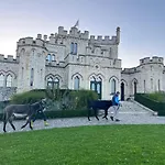 Σπίτι διακοπών Les Anes Du Chateau D Hardelot, Pour 2 A 5 Pers *