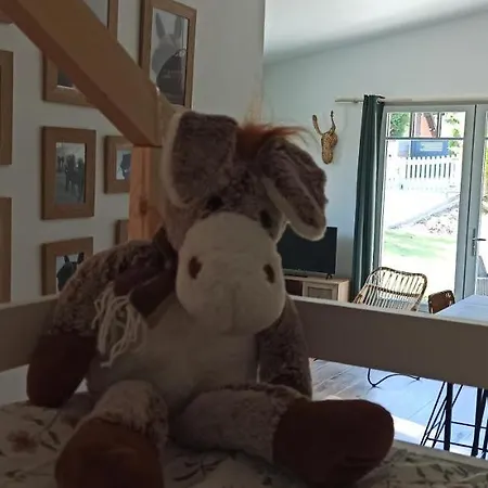 Les Anes Du Chateau D Hardelot, Pour 2 A 5 Pers