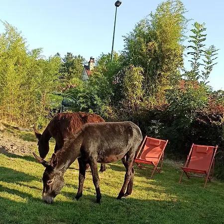 Les Anes Du Chateau D Hardelot, Pour 2 A 5 Pers * Condette