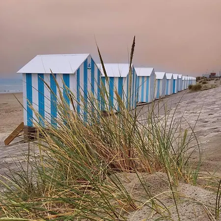 Les Anes Du Chateau D Hardelot, Pour 2 A 5 Pers * Condette