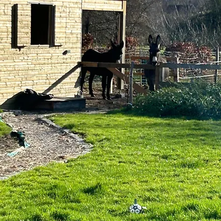 Les Anes Du Chateau D Hardelot, Pour 2 A 5 Pers * Condette